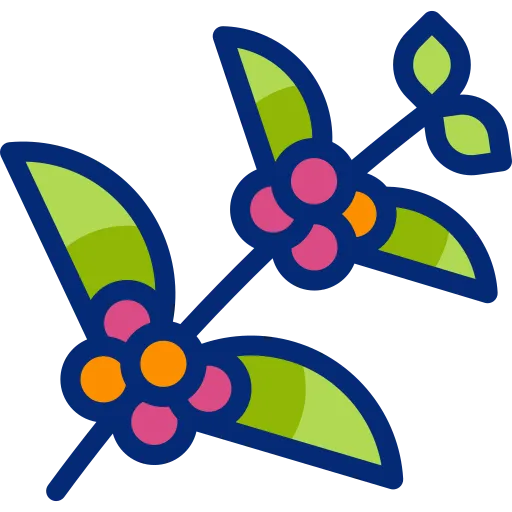 Ramo de cafeeiro com folhas verdes e frutos coloridos, representando o ciclo completo do café – do cultivo à xícara – que pode ser rastreado com um sistema para cafeterias.